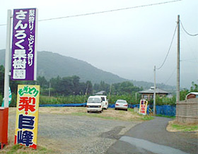 梨狩り・ぶどう狩りの看板