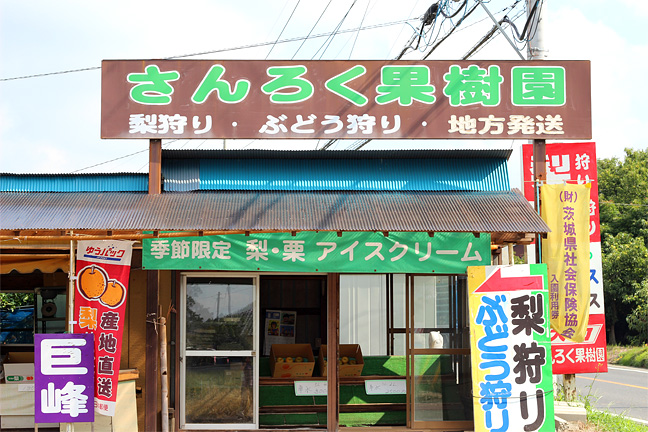 関東 茨城 果物狩り ぶどう狩り 梨狩り 食べ放題 さんろく果樹園 かすみがうら市 茨城県